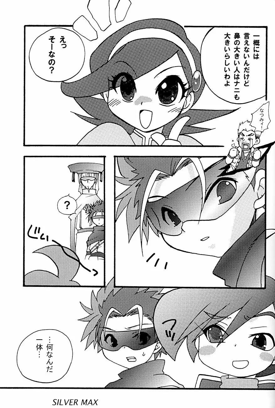 SILVER MAX Page.2