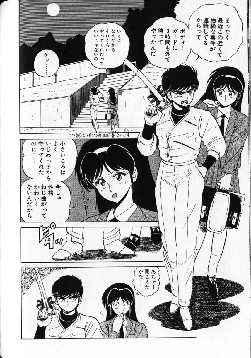 シュランバ・ランバ Page.100