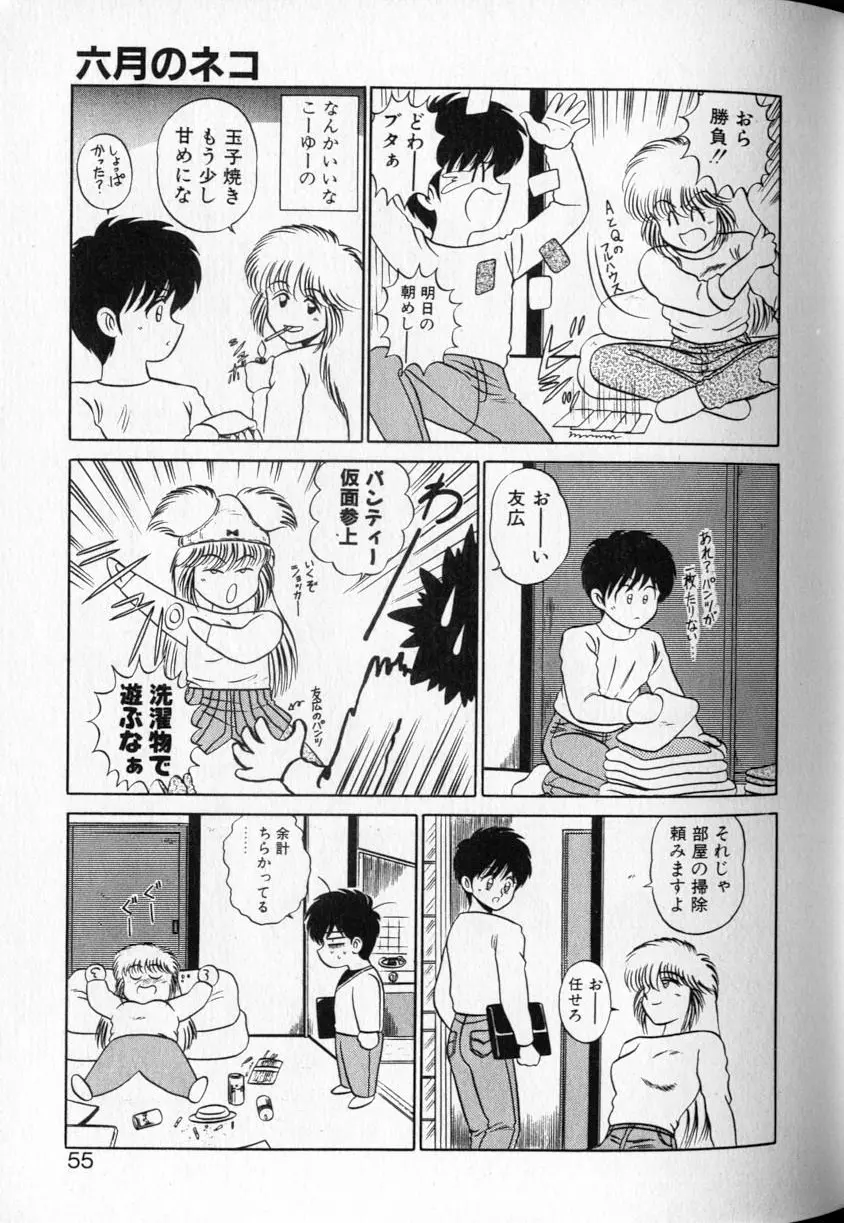 シュランバ・ランバ Page.53