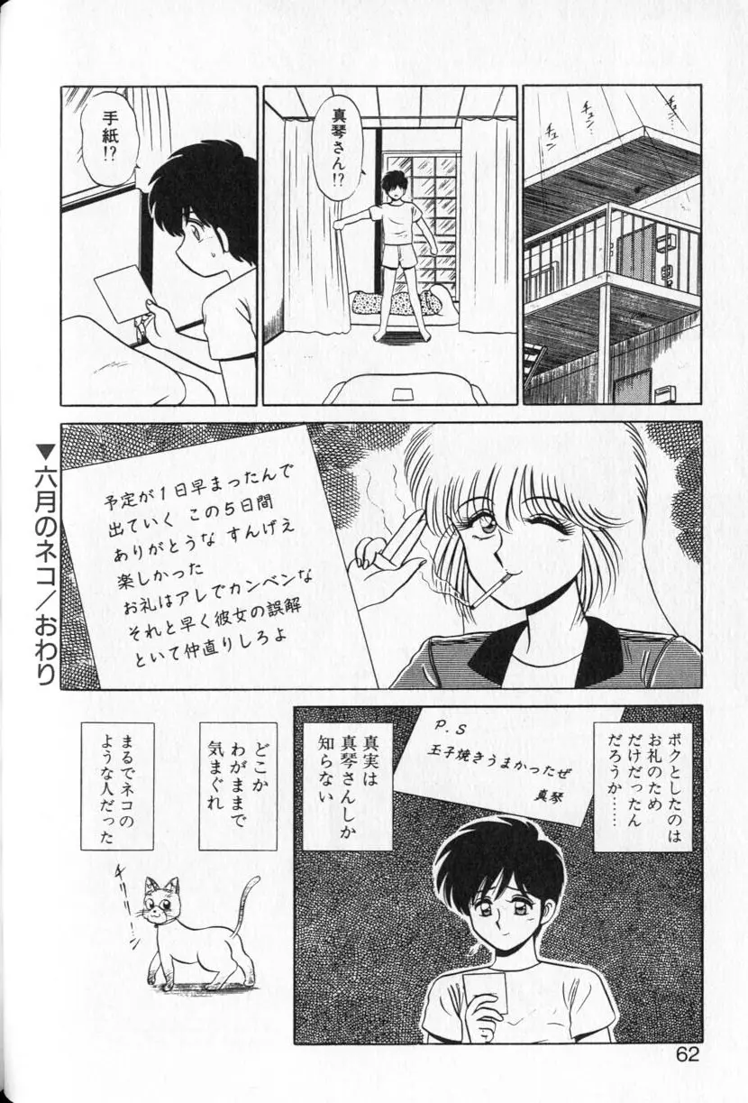 シュランバ・ランバ Page.60