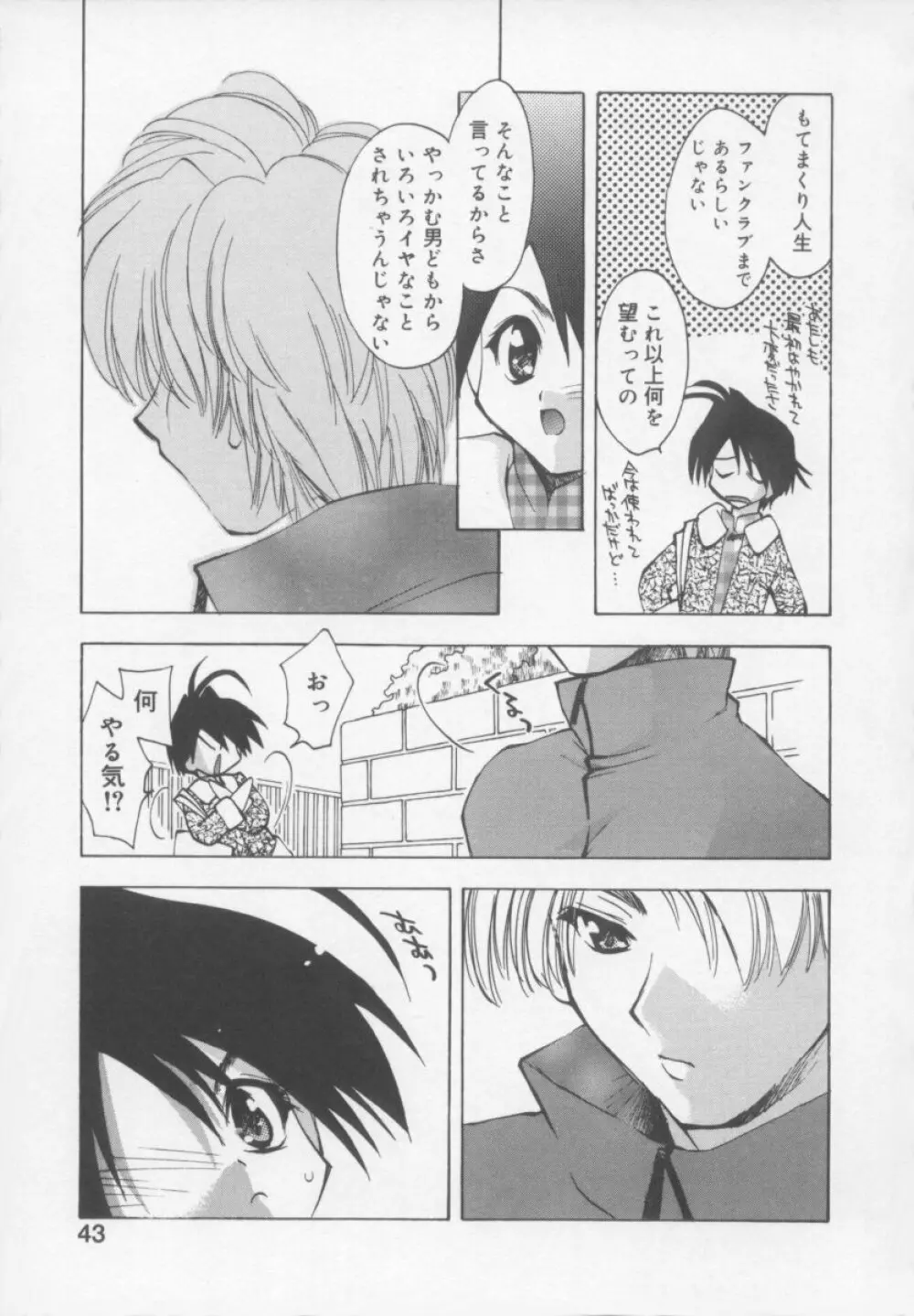 フラワーピロウ Page.45