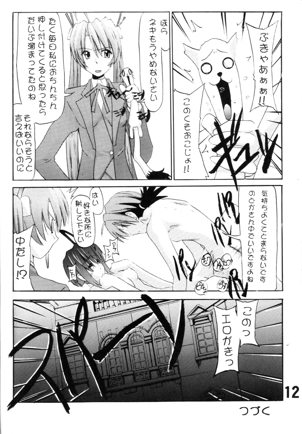 パッピーマテリアル Page.11