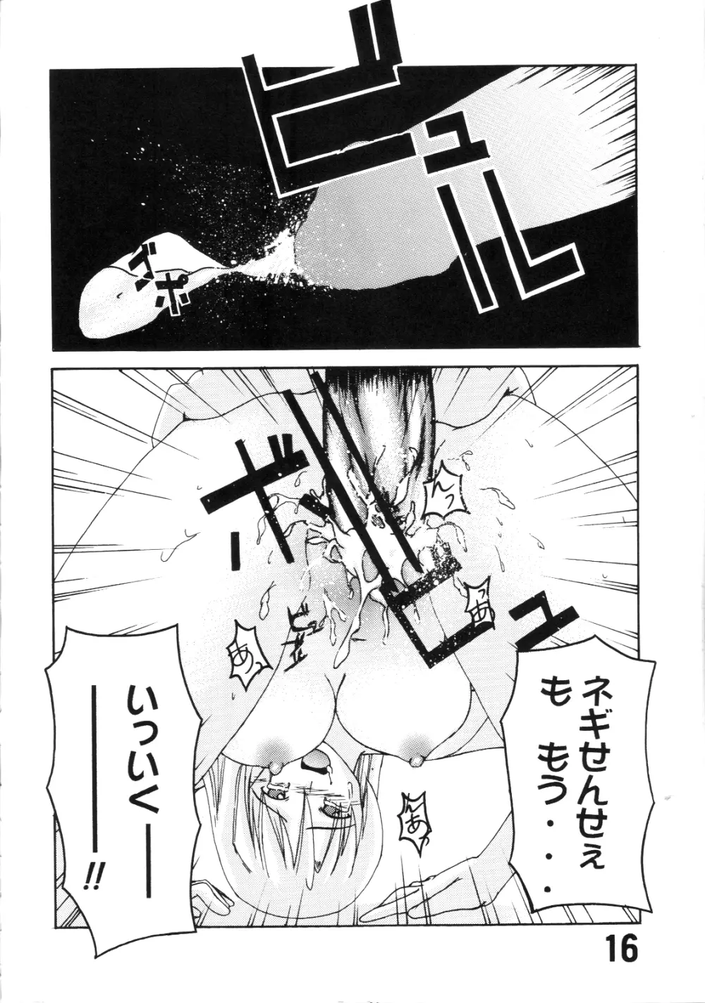 パッピーマテリアル Page.15