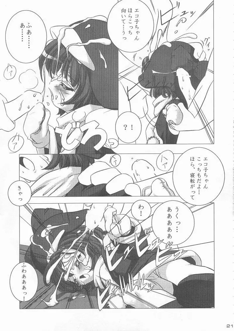 エコスプラッシュ Page.20