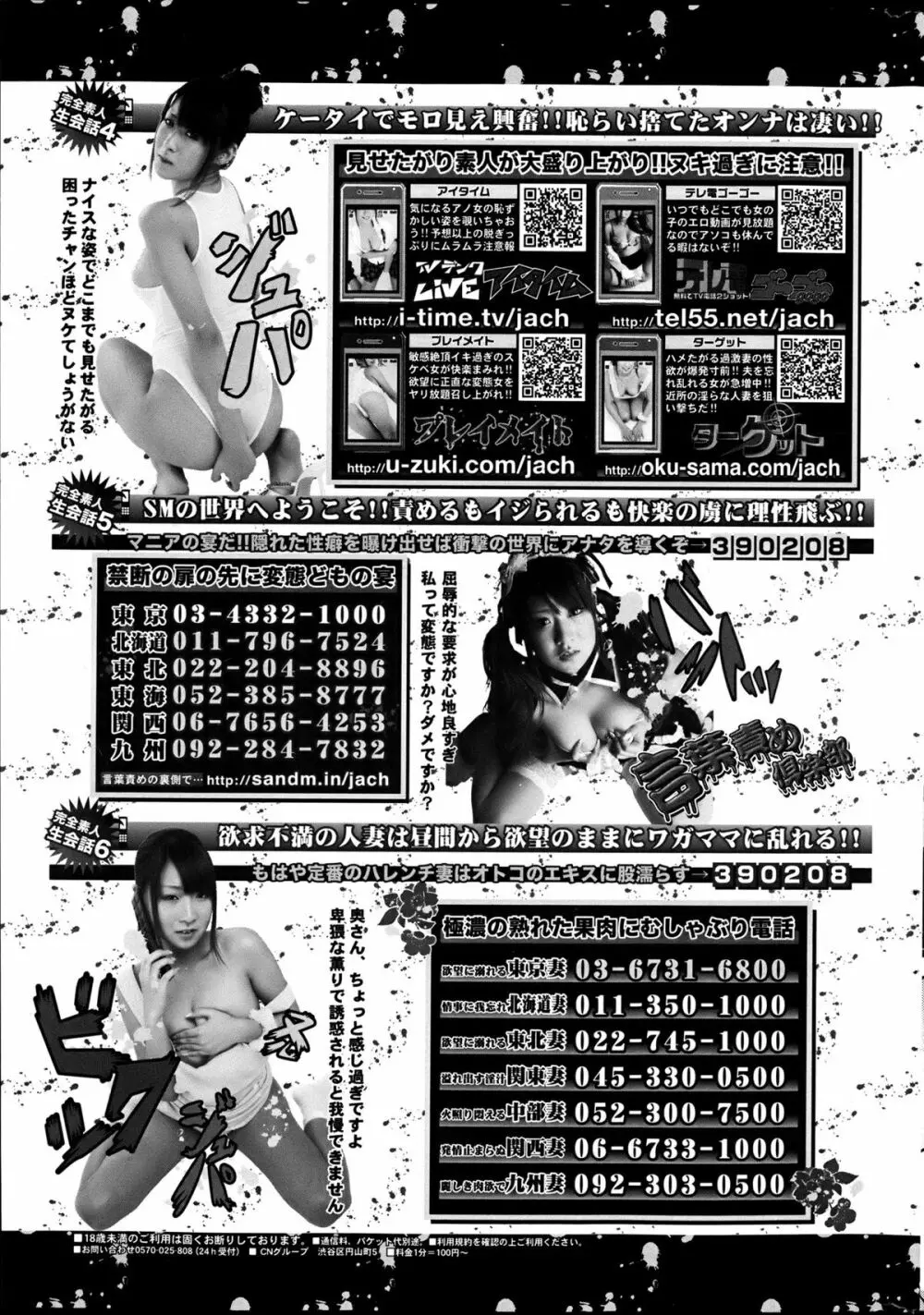 COMIC プルメロ 2013年6月号 Page.206