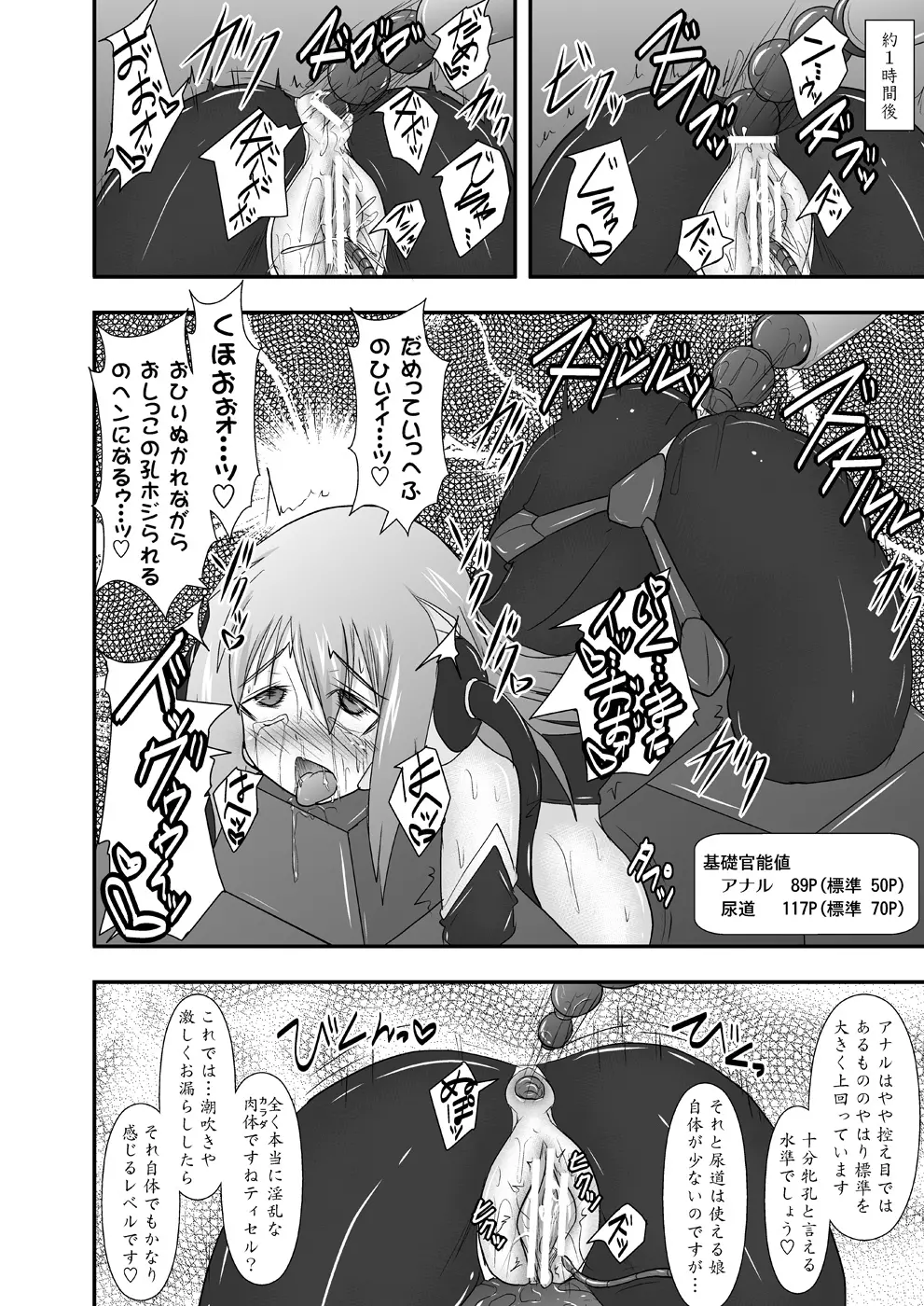 煌盾装騎エルセイン Vol.11 NETHER LABORATORY Page.17