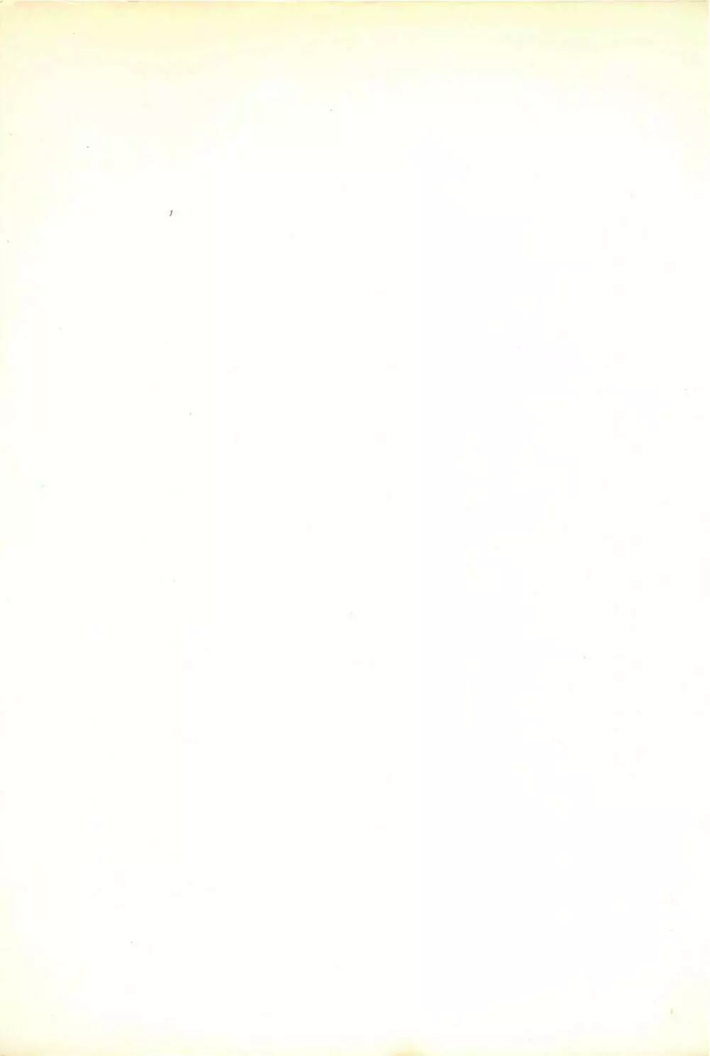 ティ-タイム2 Page.4