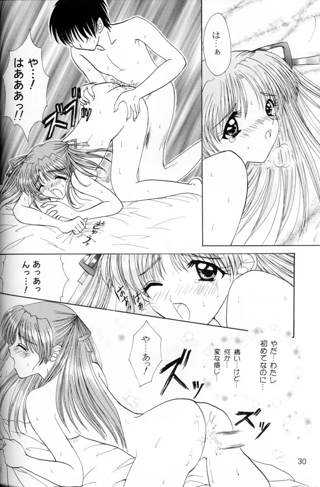 Snowdrop Page.29
