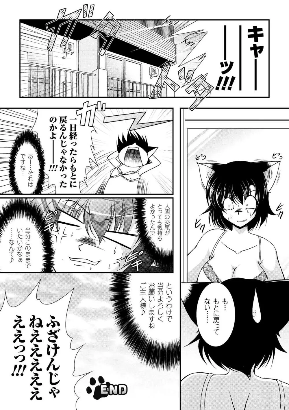 怪盗ブルーライスチャイルド -Mystic Thief of Blue Rice Child- Page.146