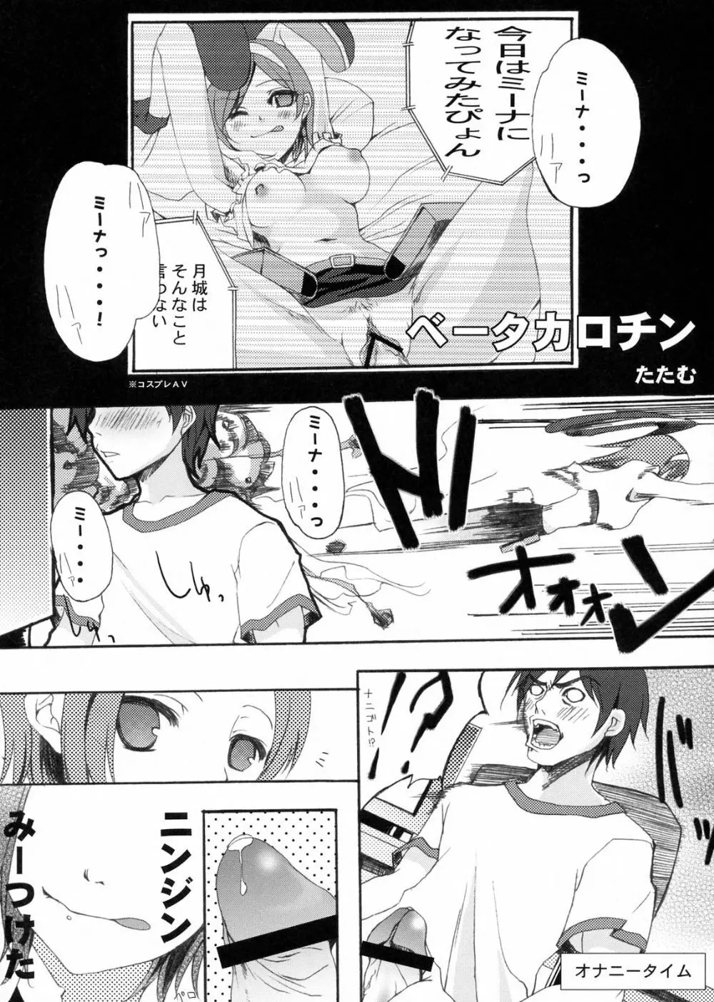 ベータカロチン Page.2