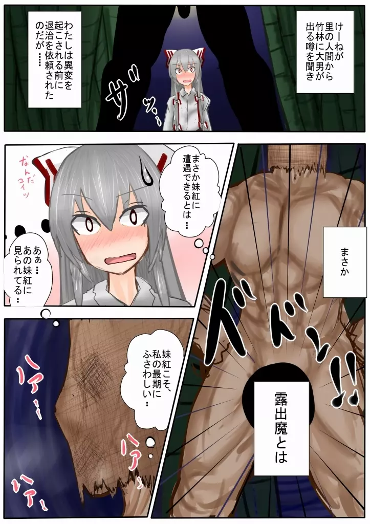 妹紅くんがホモに犯されるマンガ Page.2