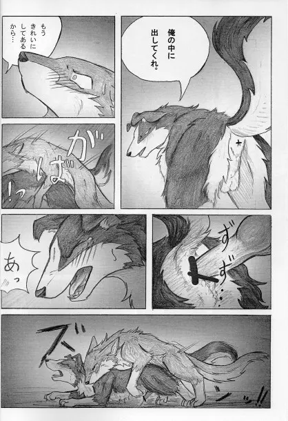 KTQ15/2 Page.11
