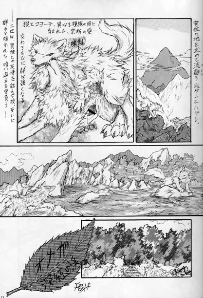KTQ15/2 Page.14
