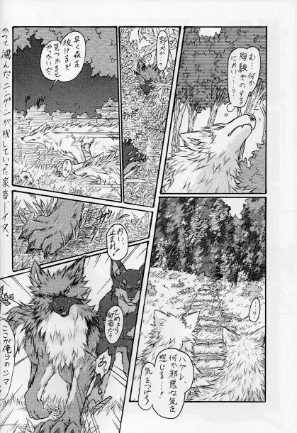 KTQ15/2 Page.15