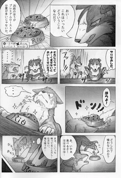 KTQ15/2 Page.7
