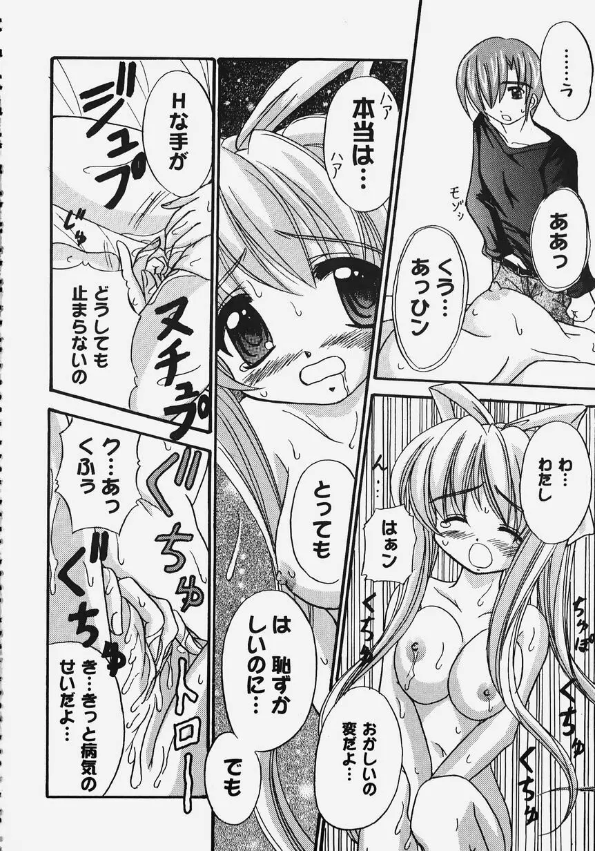 秘密のセレナーデ 2 Page.88