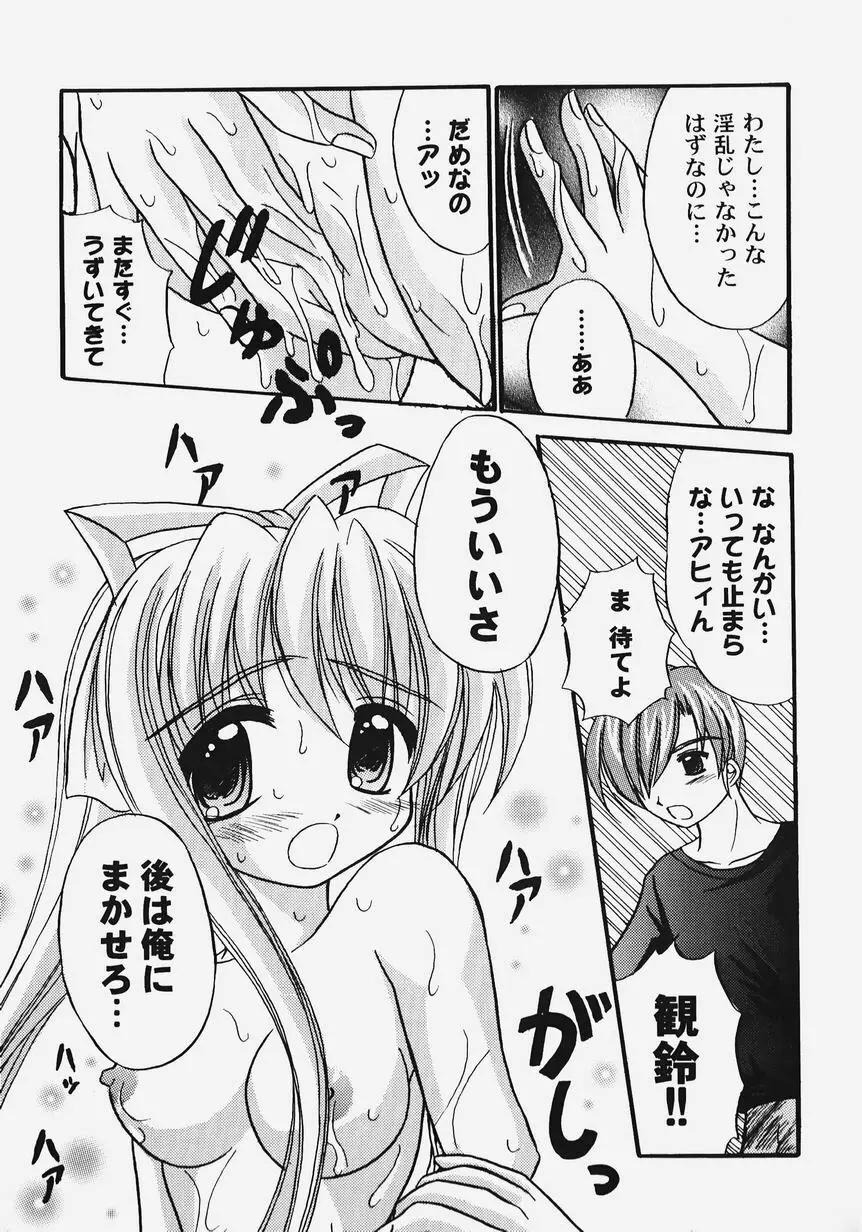 秘密のセレナーデ 2 Page.91