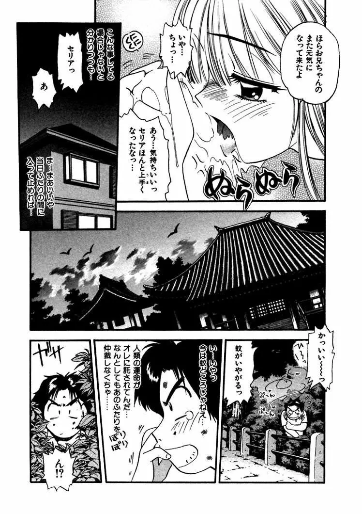 FLYING TEAPOT フライングティーポット Page.116