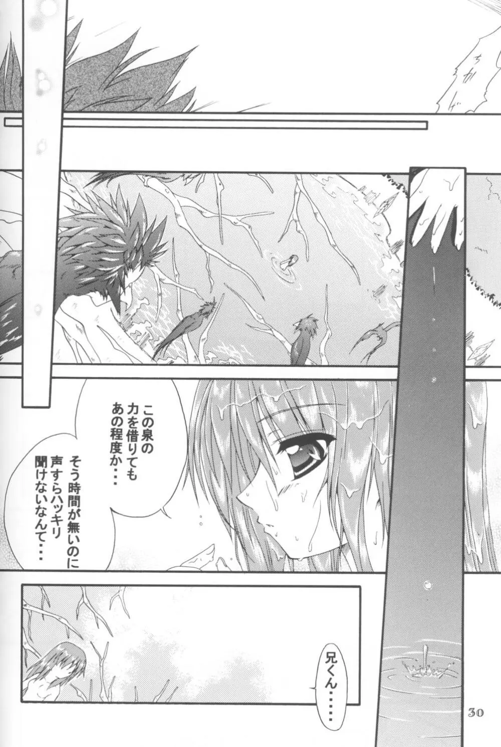 EDEN Page.29