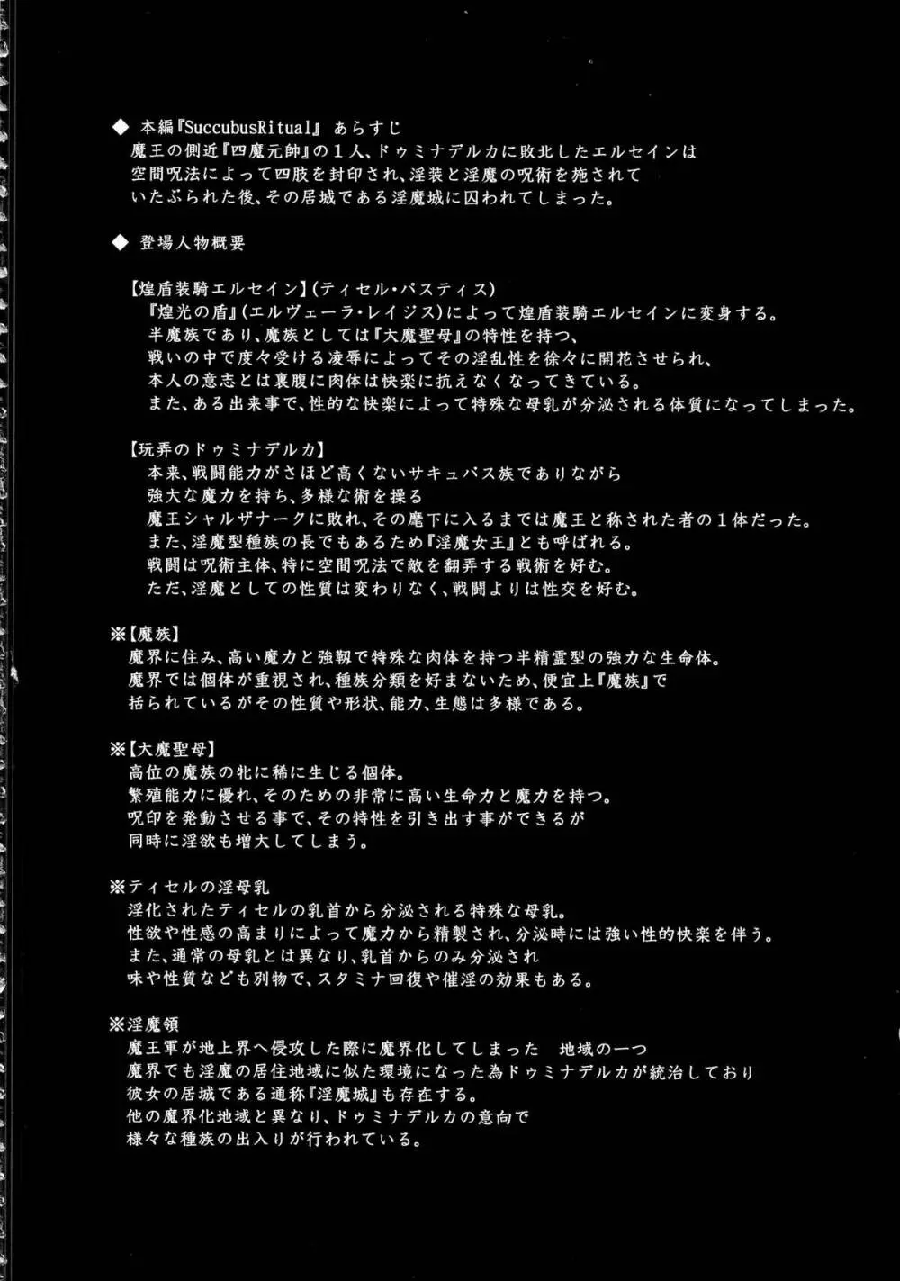煌盾装騎エルセイン Vol.14 SuccubusRitual Page.3