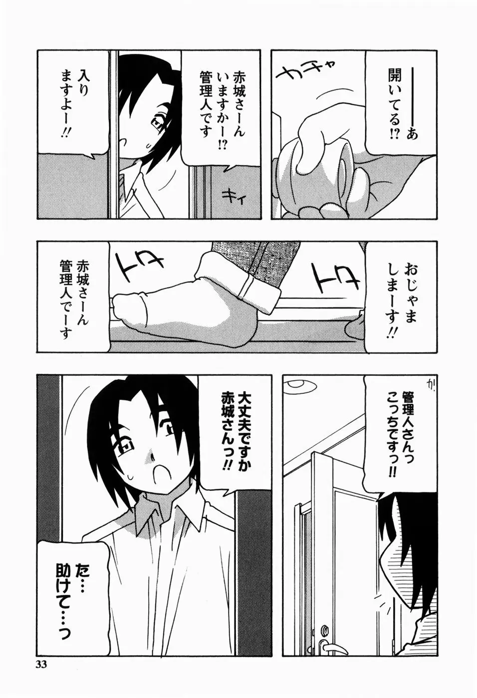 HAREM CASTLE Page.33