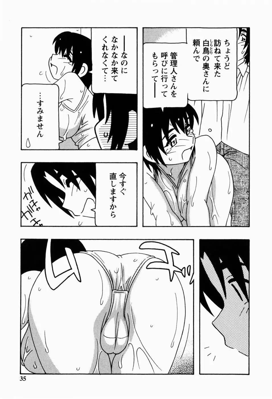 HAREM CASTLE Page.35