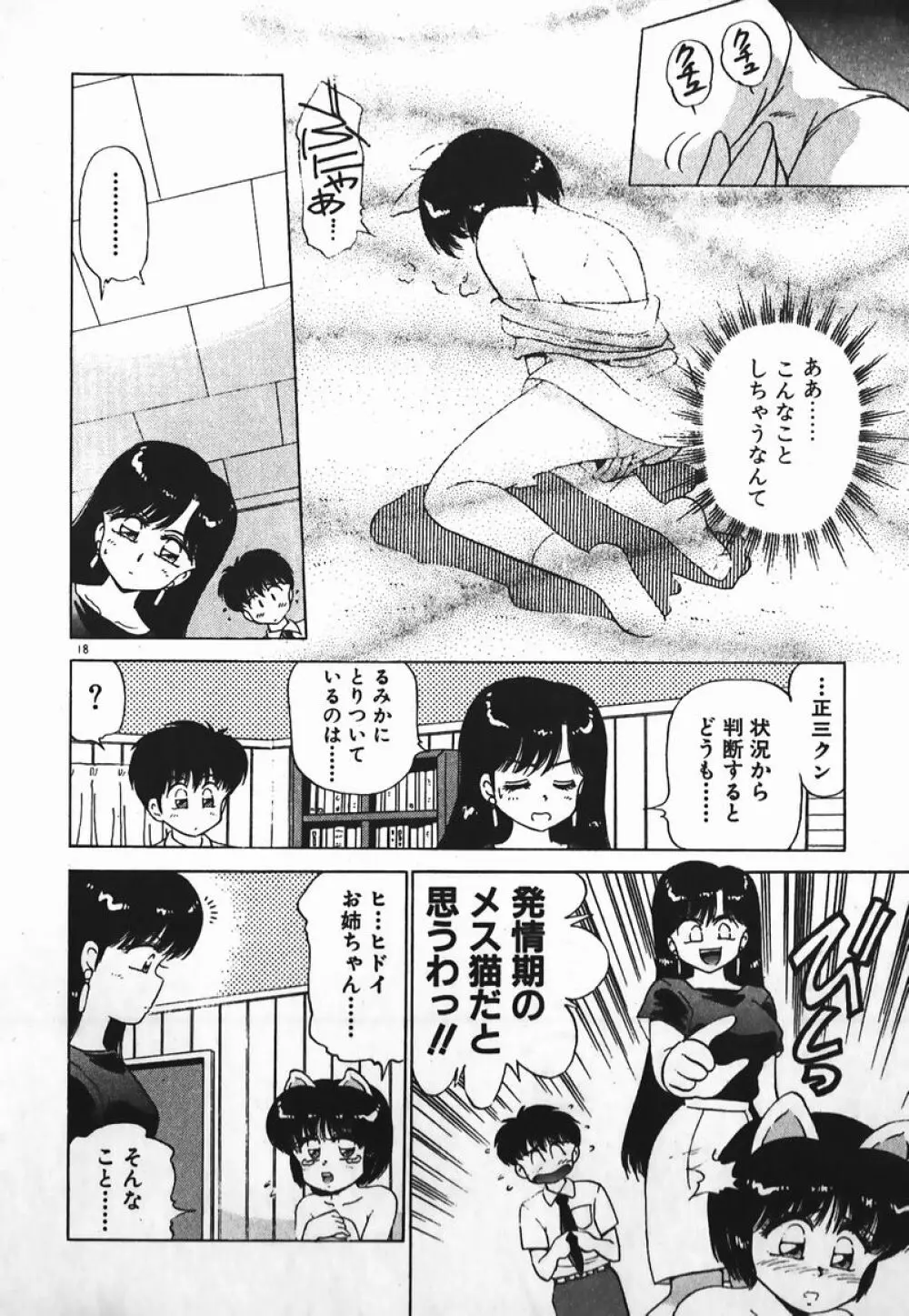 ドッキン美少女SOS! Page.17