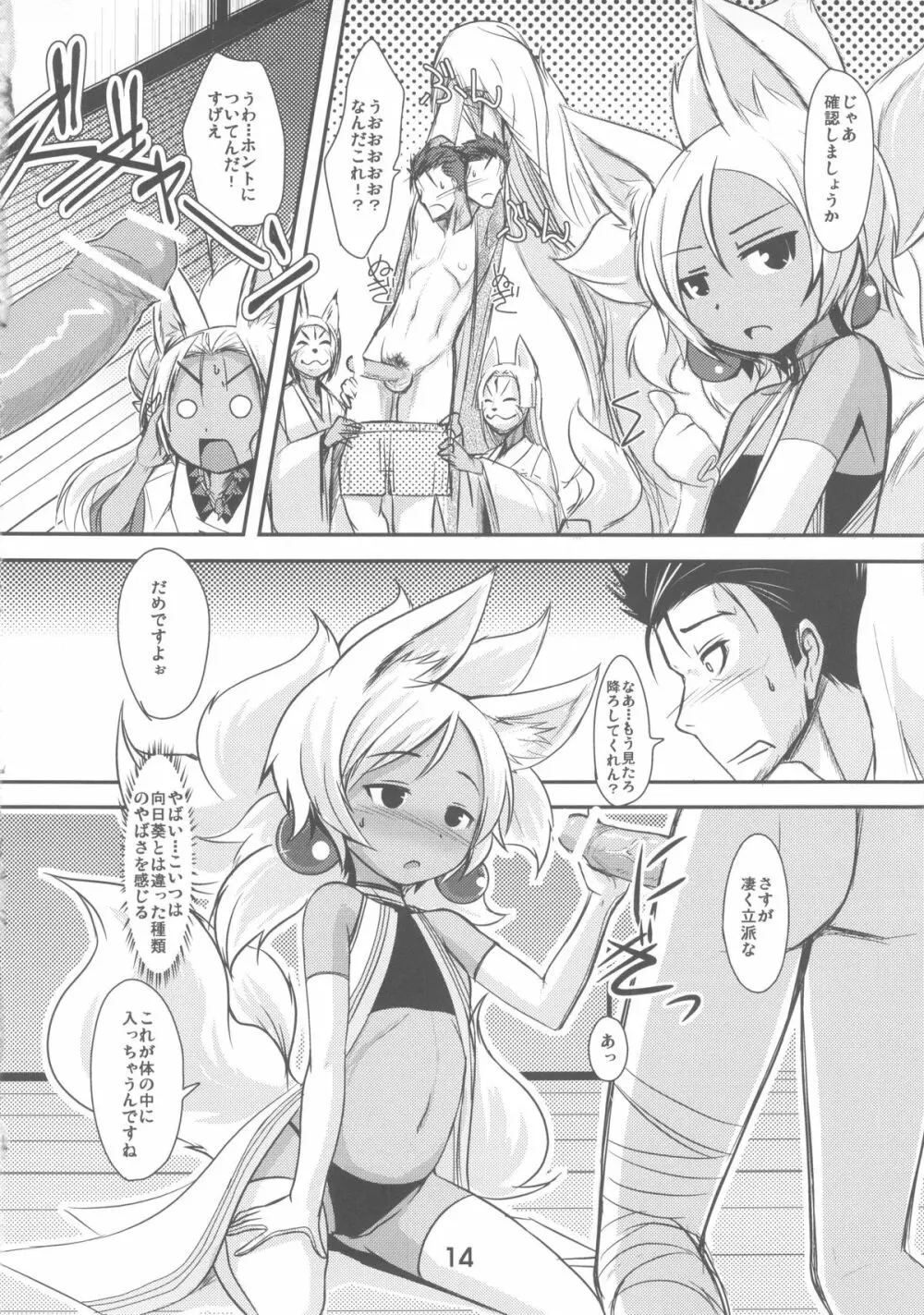 双狐の帳 Page.14