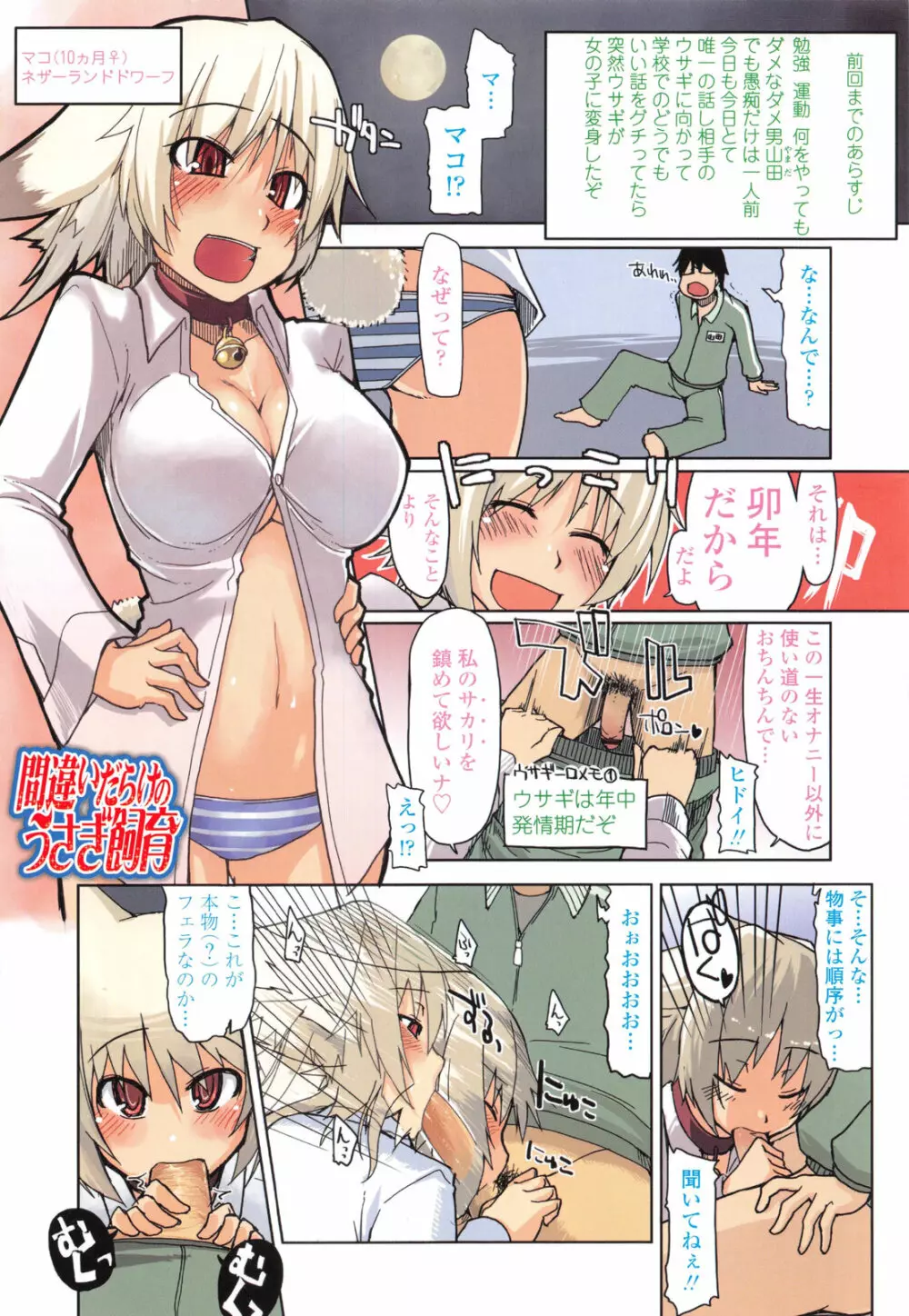 おいしいお肉の召し上がり方 Page.13