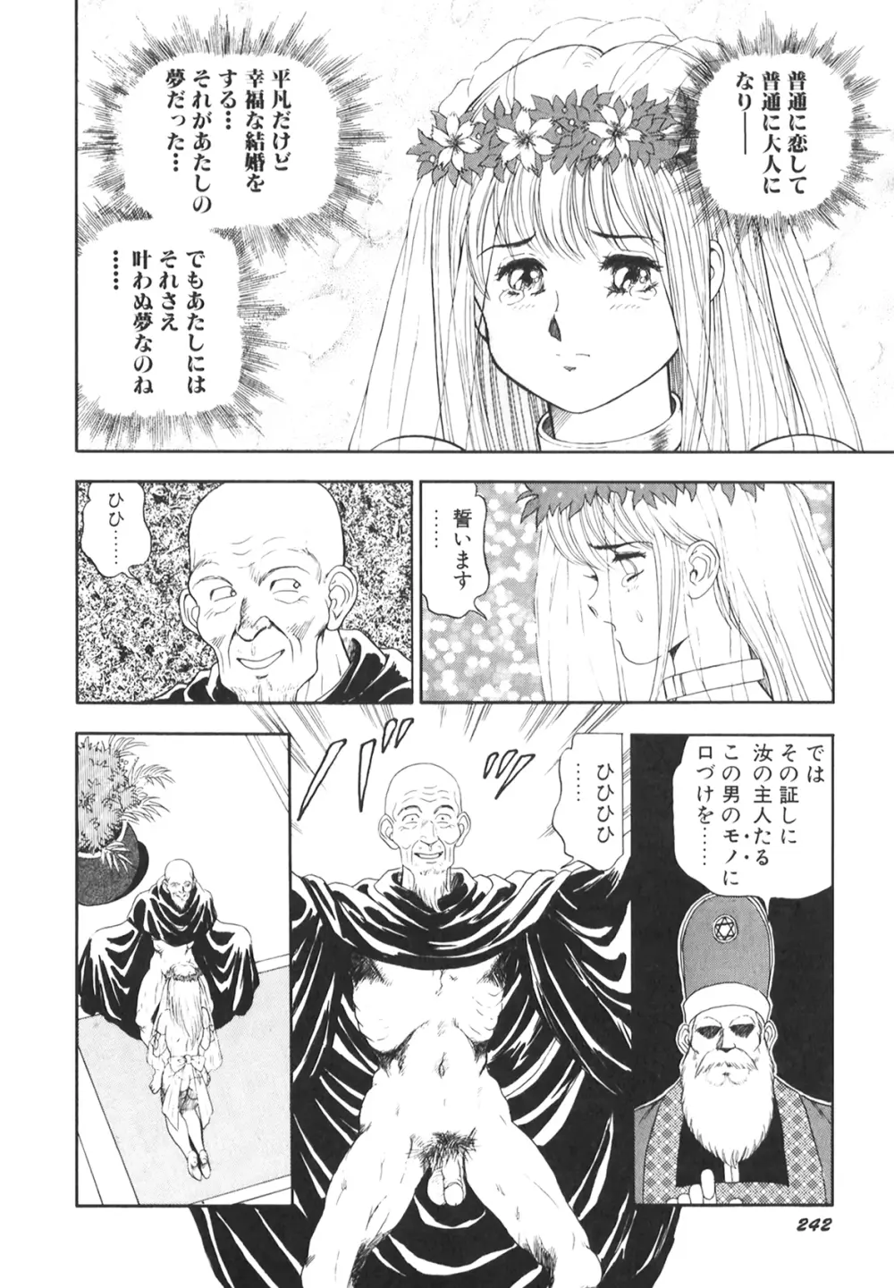 奴隷戦士マヤ II Page.243