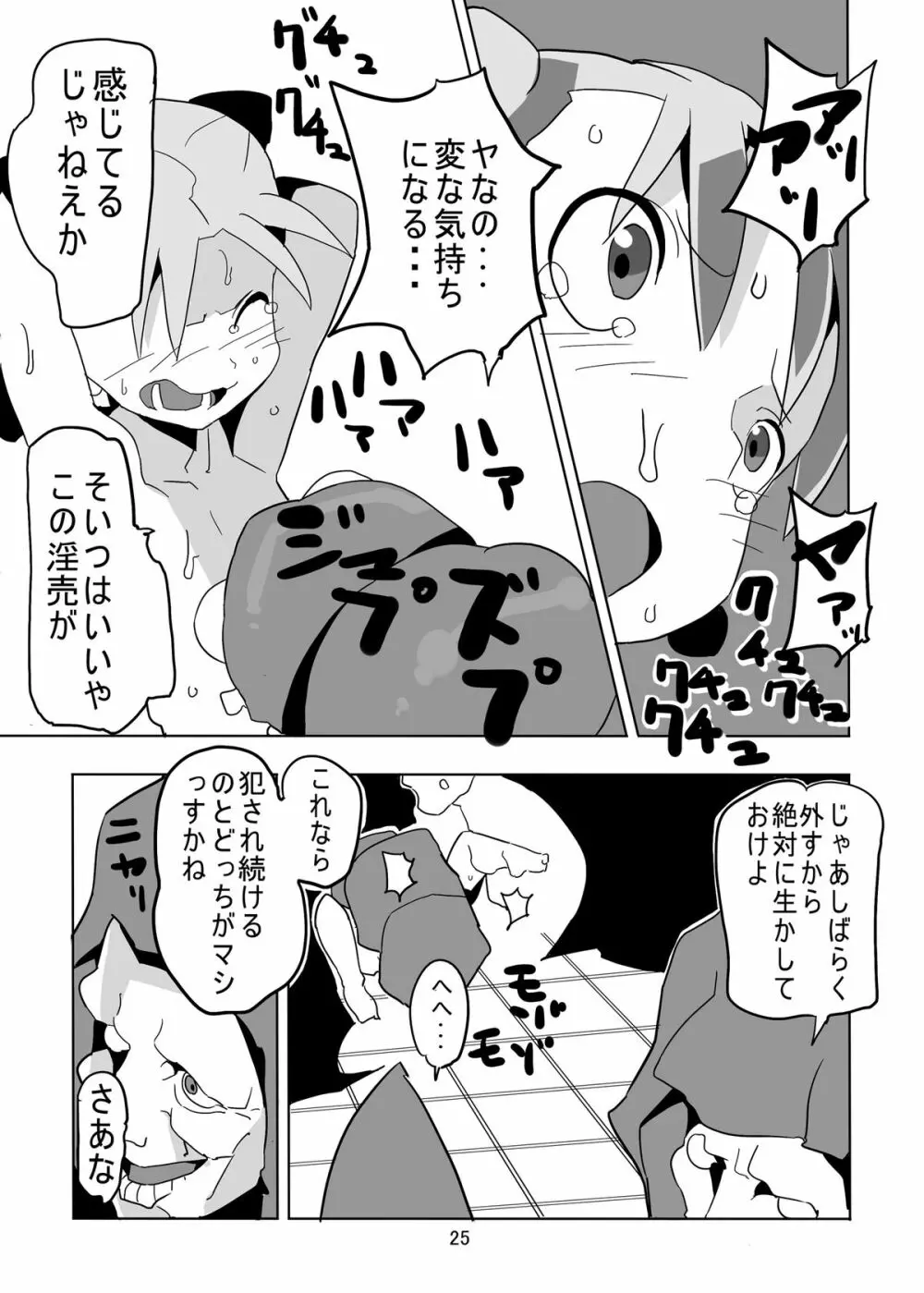 レヌール城の神隠し ～絶望的モン姦奴隷ビアンカ～ Page.25