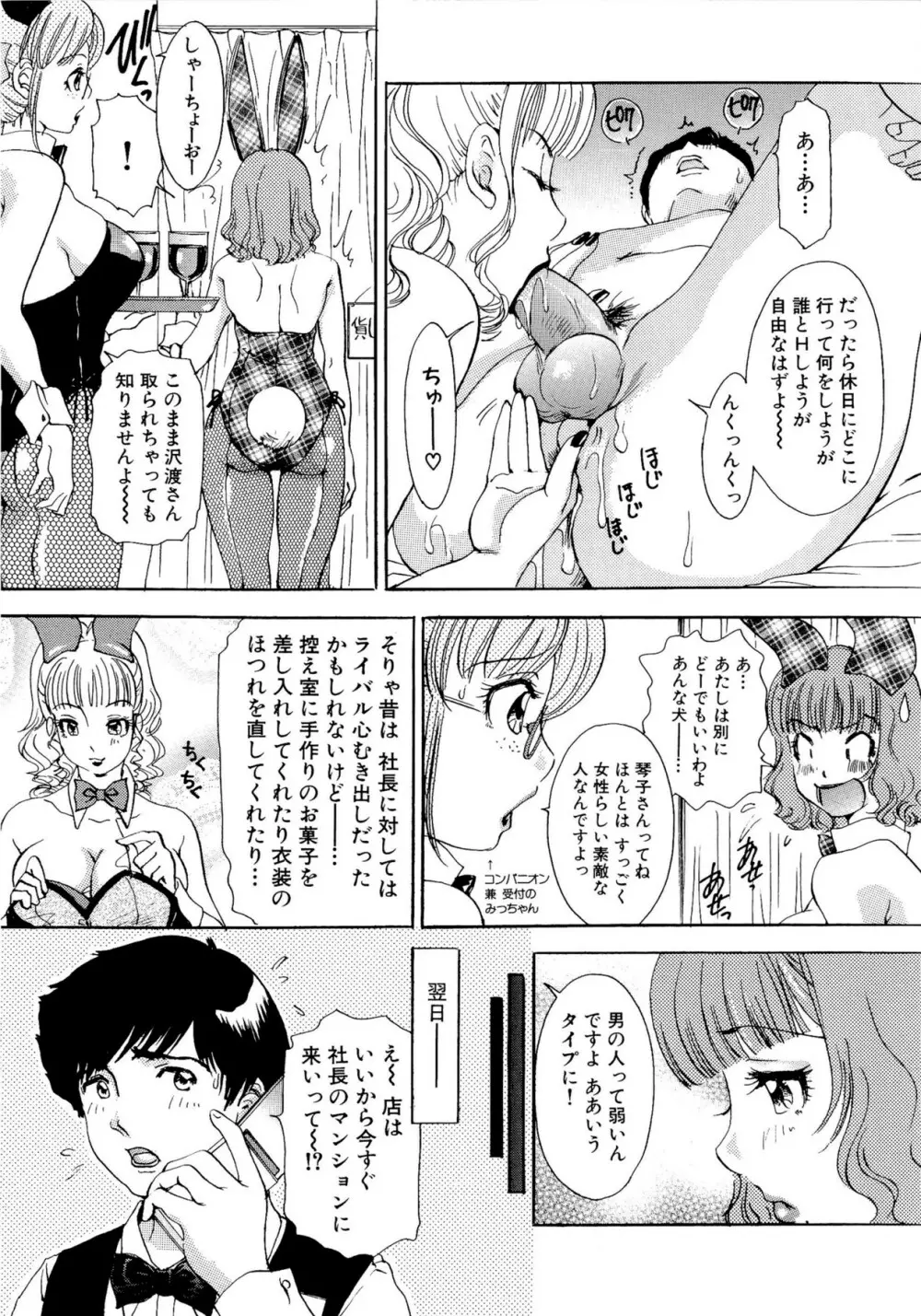 ハメちゃえ！バニーズ Page.26