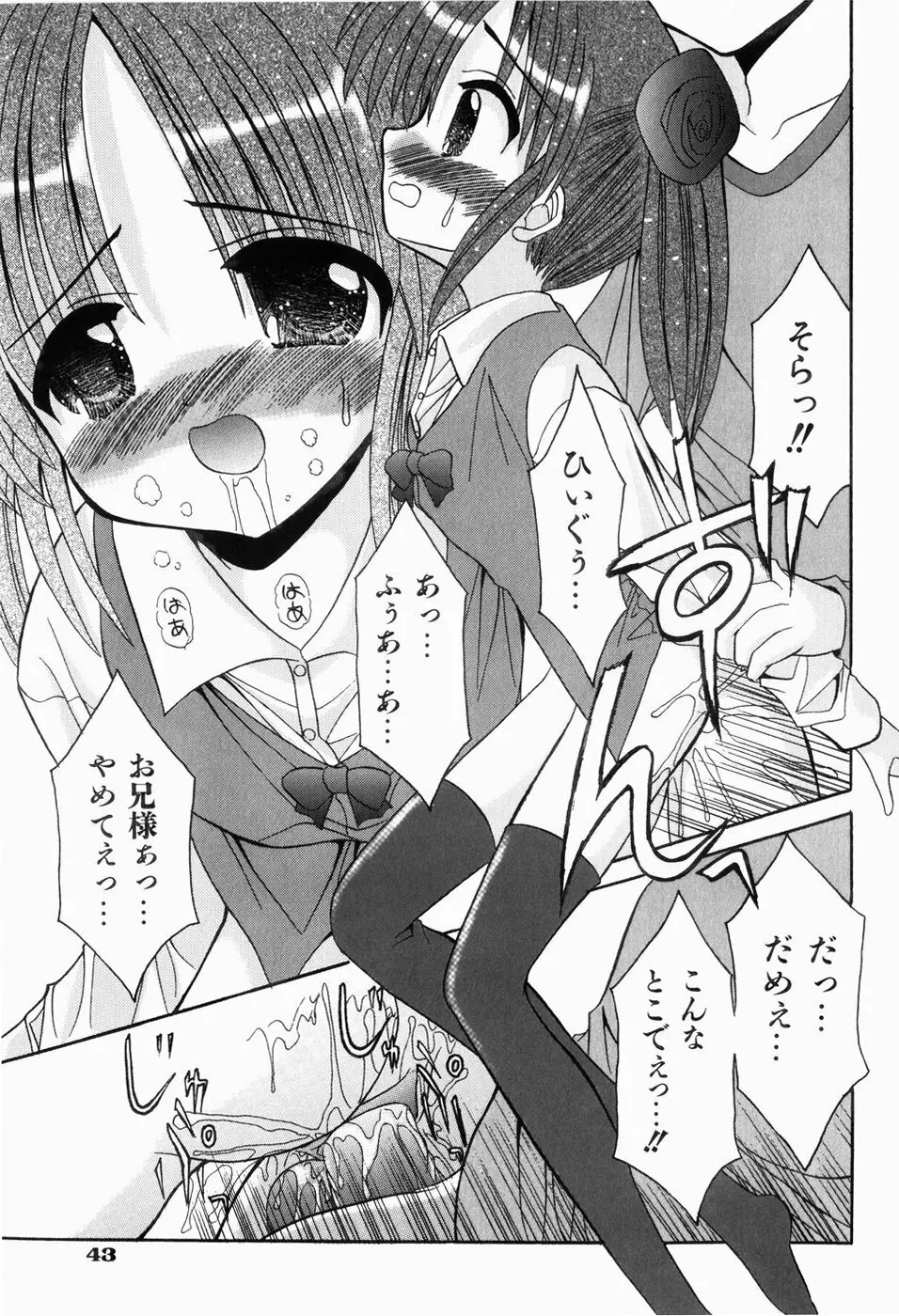 はじめてのせっくす Page.47