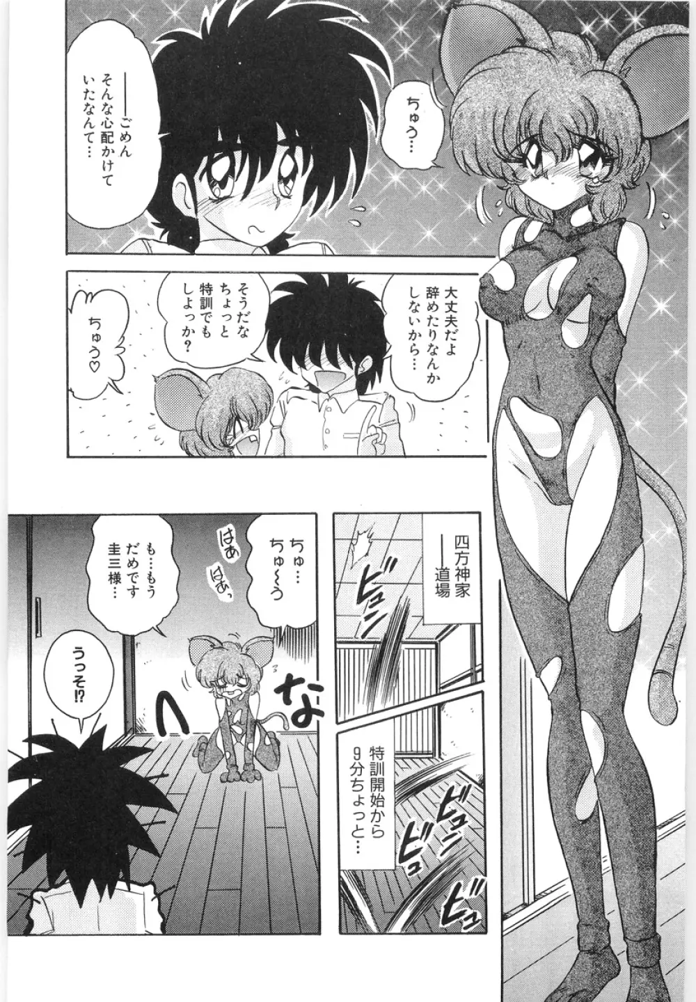 封獣師アニマスター Page.13