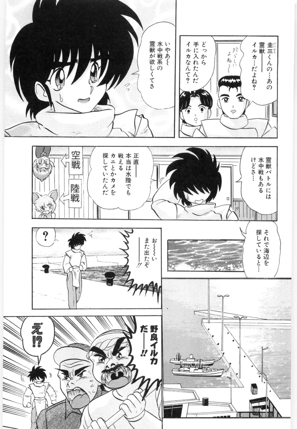 封獣師アニマスター Page.39