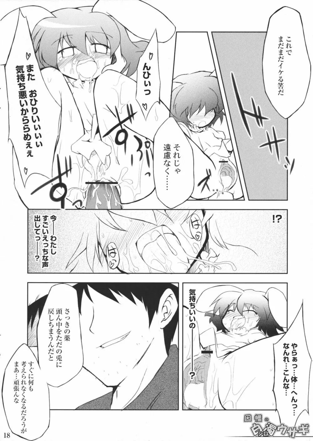 因幡の白濁ウサギ Page.17