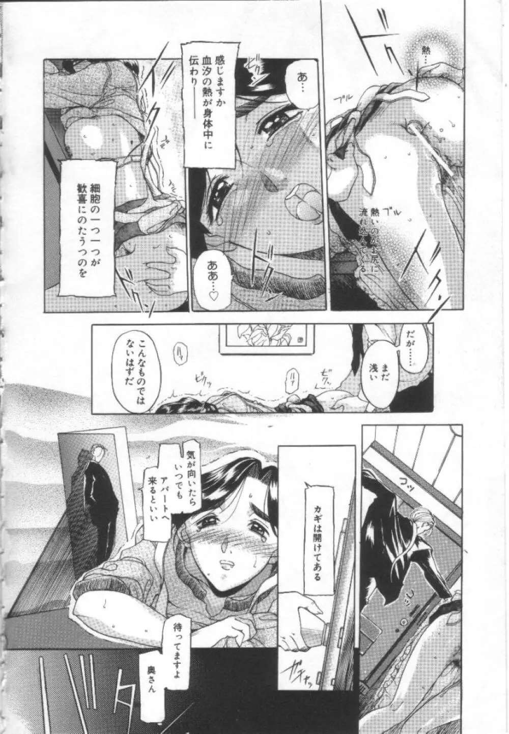 夢幻画境 Page.43