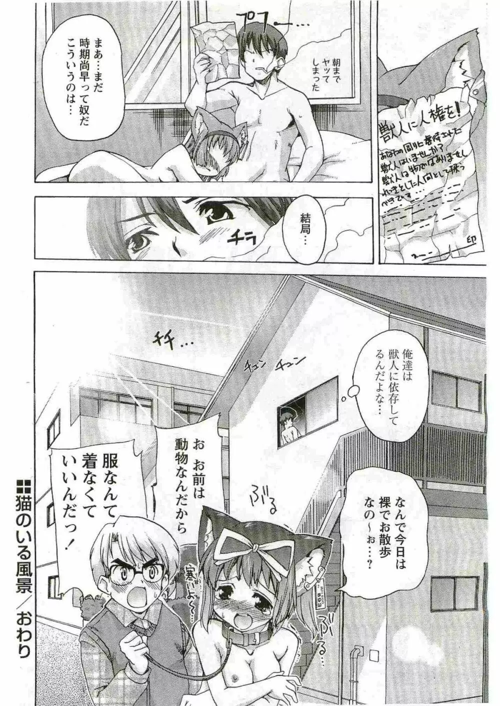 COMIC パピポ 2005年6月号 Page.50