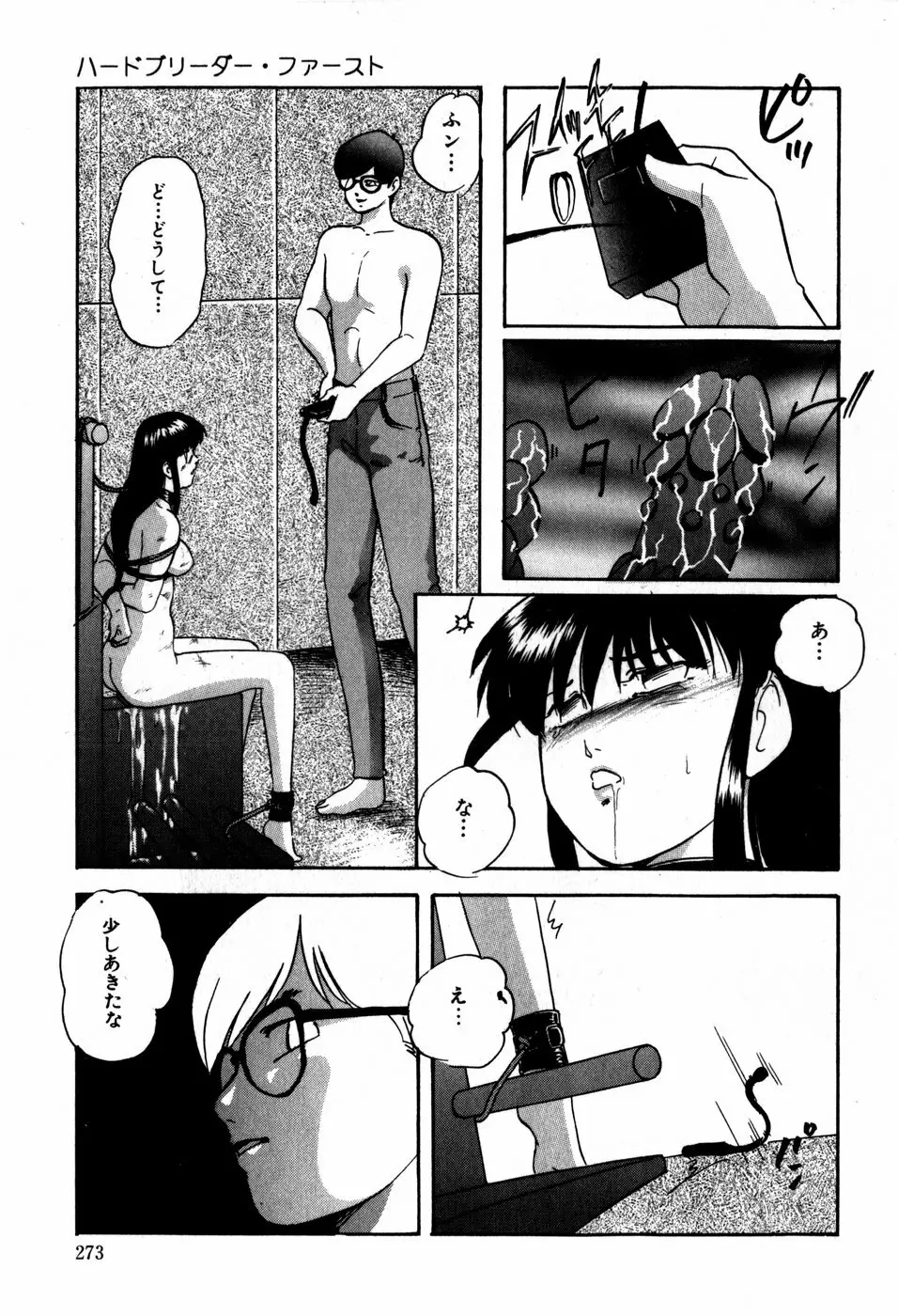 ハードブリーダー・ファースト Page.273