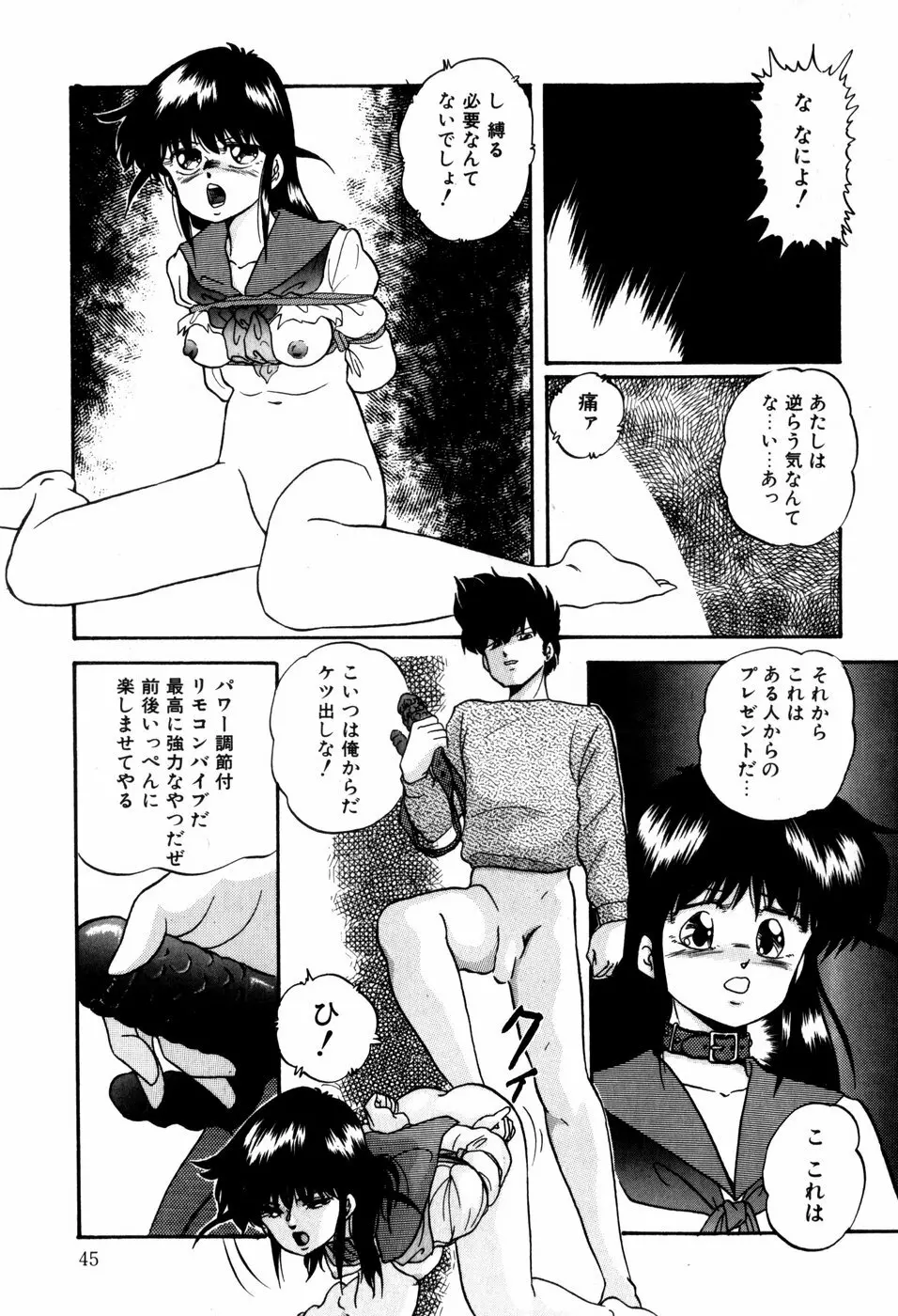 ハードブリーダー・ファースト Page.45