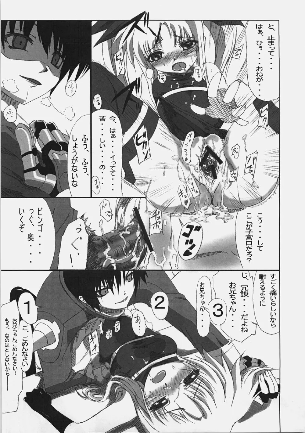 フェイトさんごはんですよ！メタルス Page.14