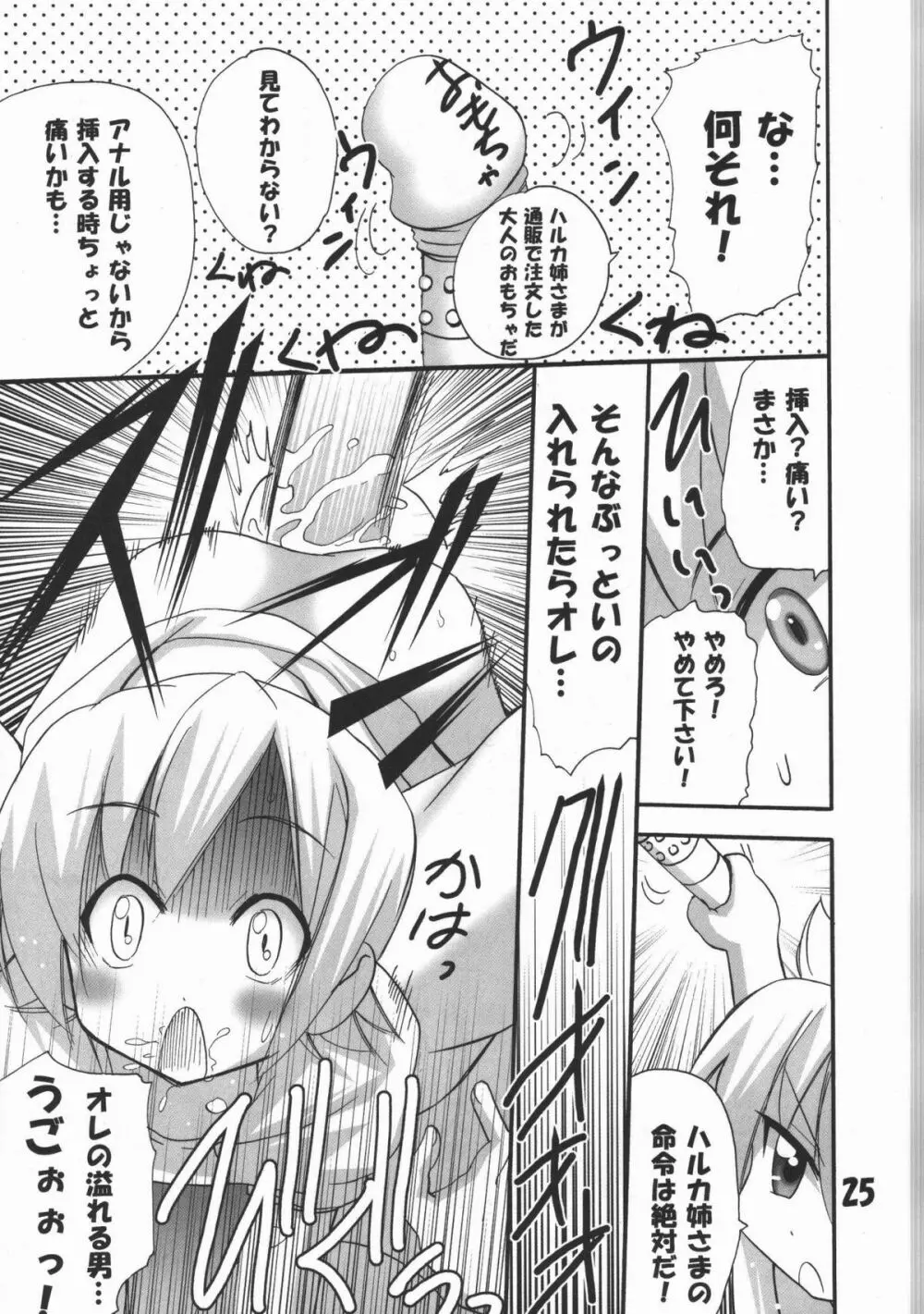 ハルカ姉さまのマコちゃんいぢり Page.24