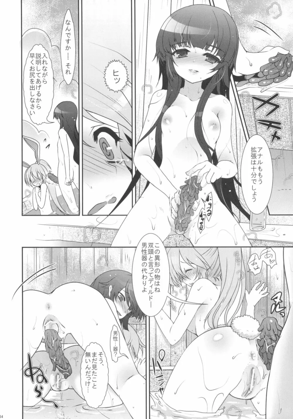 2010-2011まとめ本 2 Page.63