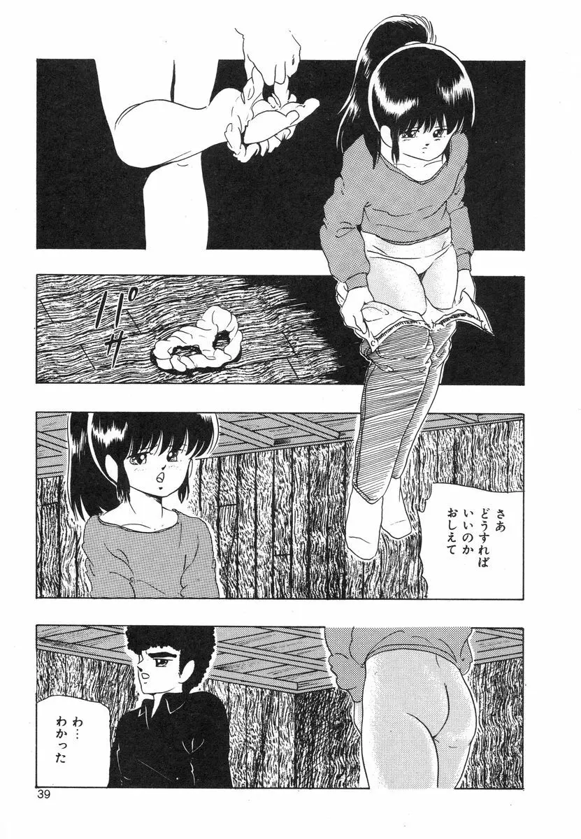 マイドール Page.41