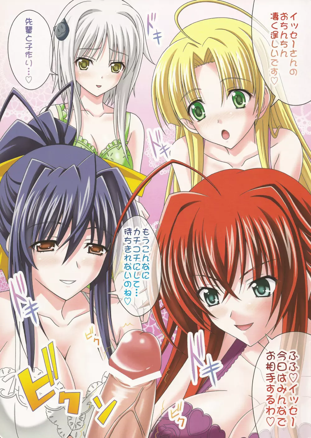 euphoria~ハイスクールD×D~ Page.3