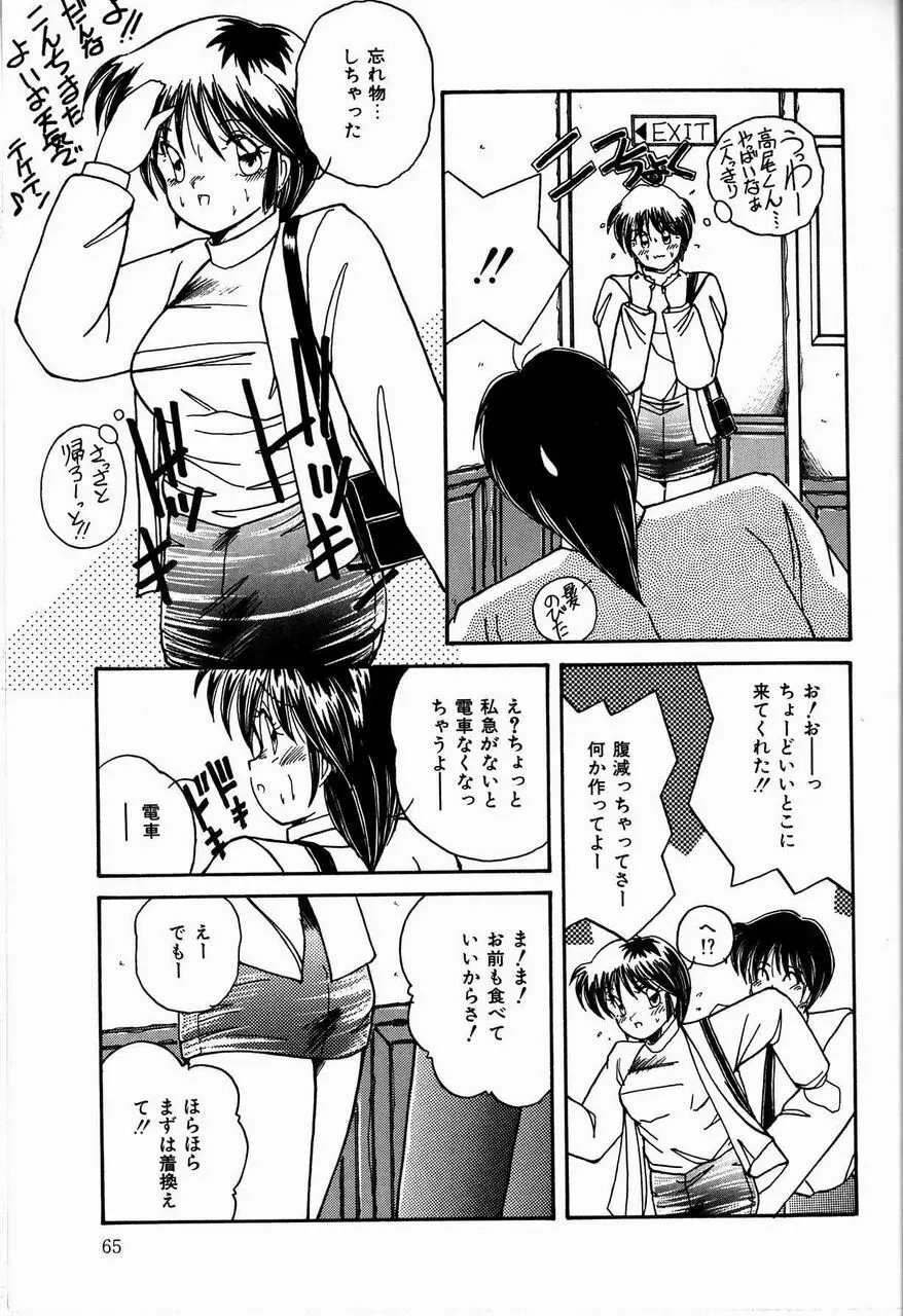 乙女ちっくセンセーション Page.67