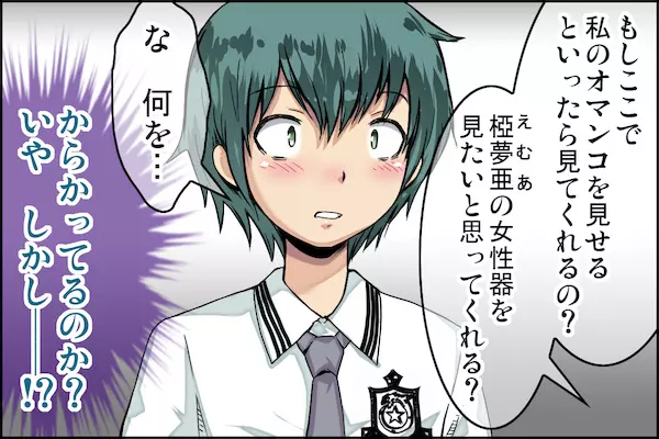 クラスで一番の優等生に告白してから僕が愛奴にされるまで。 Page.39