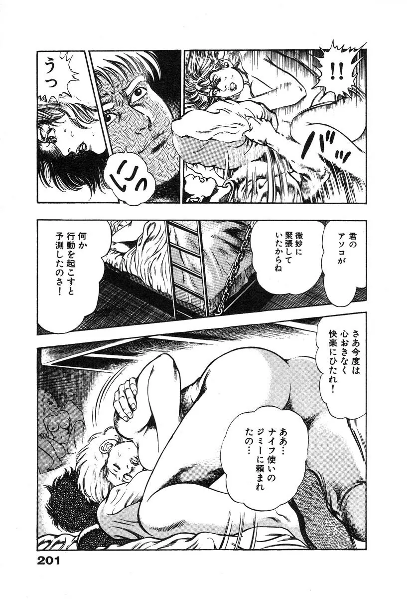 略奪都市 2 Page.203