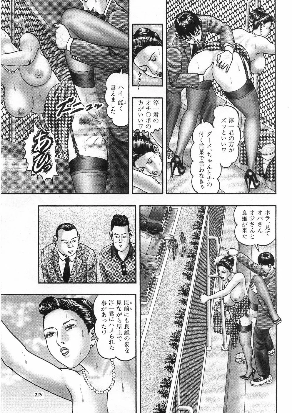 熟女ゲーム③ 夫の知らない私 Page.227