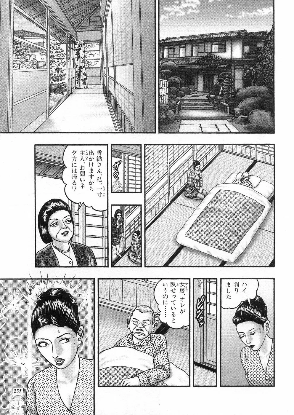 熟女ゲーム③ 夫の知らない私 Page.233